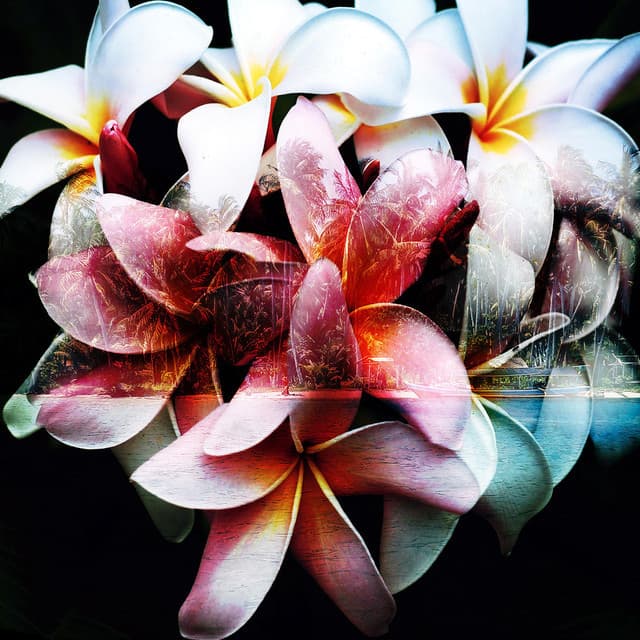 Chillout Lounge Bar Music Buddha