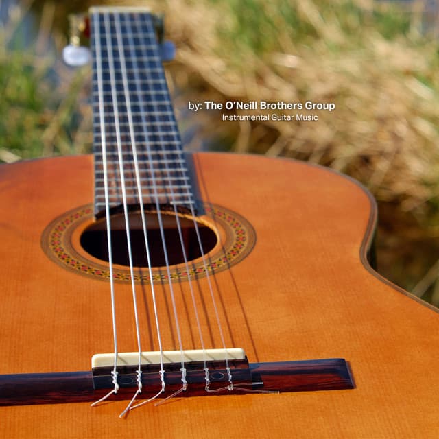 Relaxing Guitar Group