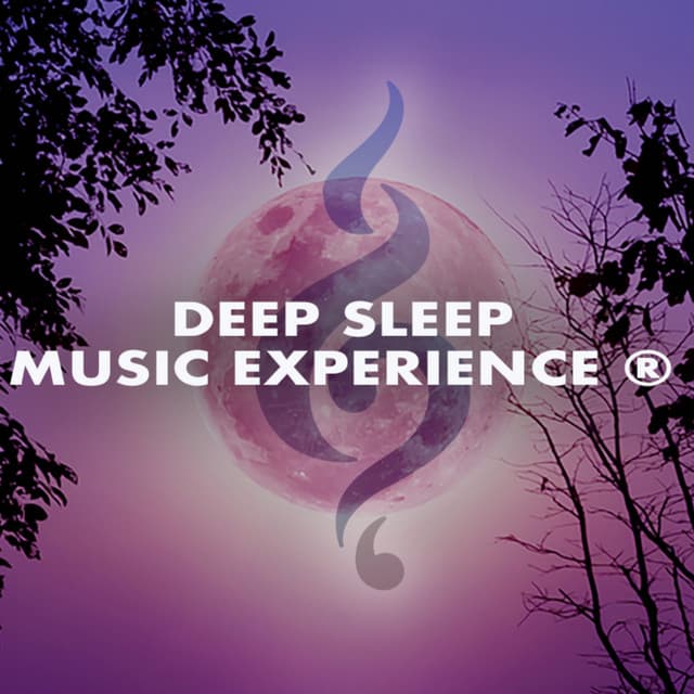 Deep Sleep Music Experience