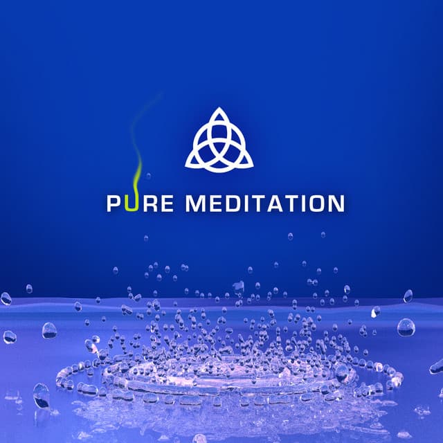 Pure Meditation