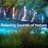 Relaxing Sounds Of Nature