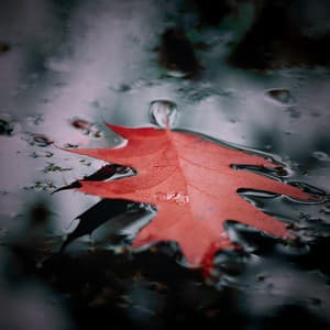 10 Contemplations: Cures For The Soul - Yoga Music