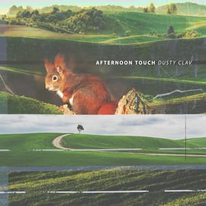 Afternoon Touch - Dusty Clav