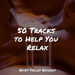 50 Tracks to Help You Relax - Lush Rain Creators