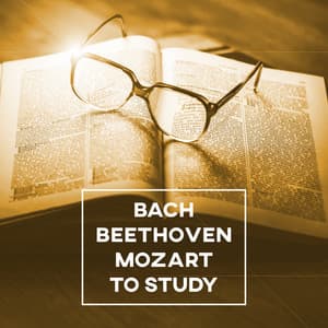 Bach, Beethoven, Mozart to Study – Songs for Learning, Perfect Concentration, Good Memory, Easy Exam - Classical Study Music Ensemble