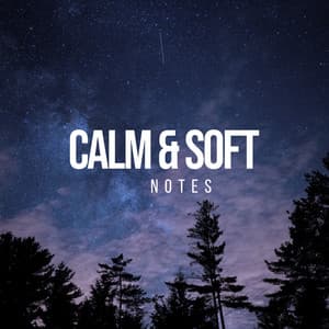 Calm & Soft Notes, Vol. 1 - Sonoramic