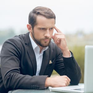 Soothing Feathered Ambient: Birds and Nature for Concentration Flow - Nature Bird Sounds