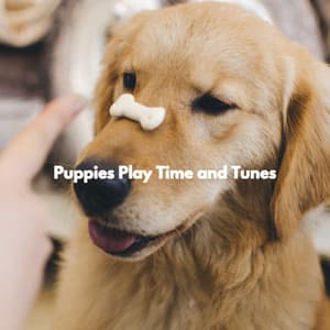 Puppies Play Time and Tunes - Lunch Time Jazz