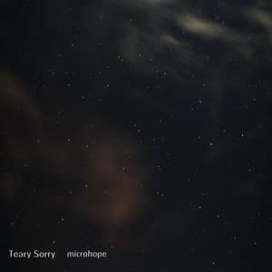 Teary Sorry - microhope