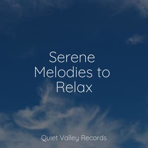 Serene Melodies to Relax - Natureza Musica Bem-Estar Academia