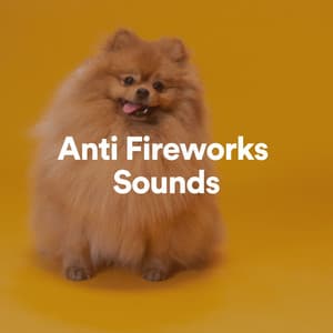 Anti Fireworks Sounds - Calm Doggy