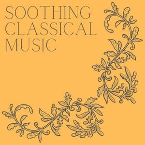 Soothing Classical Music - Classical Music For Relaxation
