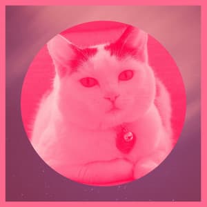 Background Music for Cute Kitten - Cat Relax