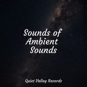 Sounds of Ambient Sounds - Ambient Music Therapy