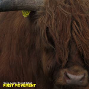 First Movement - Gorm Askjær Secret Safari