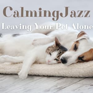 Leaving Your Pet Alone - Calming Jazz - Jazz Music for Cats