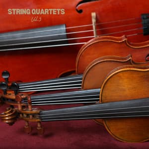 String Quartets Vol.3 - Gaetano Donizetti