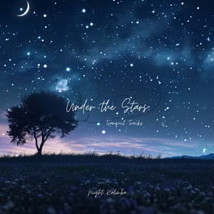 Under the Stars: Tranquil Tracks - Night Kalimba