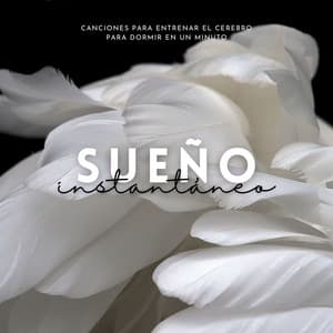 Sueño Instantáneo: Canciones para Entrenar el Cerebro para Dormir en un Minuto - Sueño Profundo