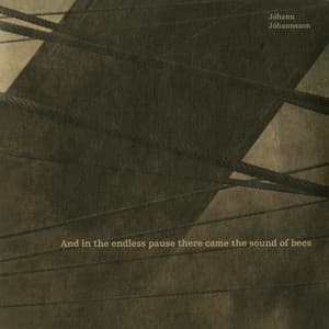 And In The Endless Pause There Came The Sound Of Bees - Jóhann Jóhannsson