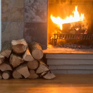 Hearth Harmony: Harmonic Explorations of Quiet Fireplaces - Crow City