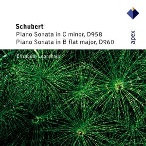 Schubert: Piano Sonatas Nos. 19 & 21 - Franz Schubert