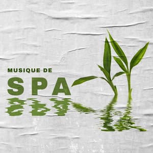 Musique de spa – Relaxation, Soulagement du stress, Méditation, Yoga - Oasis de Musique Zen Spa