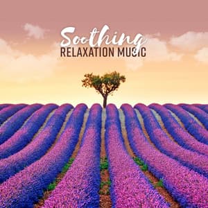 Soothing Relaxation Music - Mental Clarity, Inner Balance, Wellness - Bedtime Stories Unit