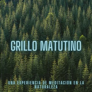 Grillo Matutino: Una Experiencia De Meditación En La Naturaleza - Grillos del bosque