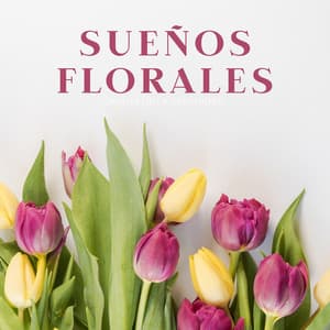 Sueños Florales: Jardín De La Serenidad - Música fácil de domingo por la mañana