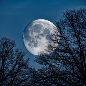 Music For Deep Rest And Untroubled Sleep - Sleep Music Legends