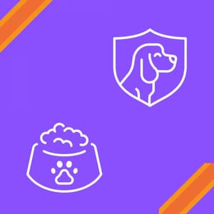 Music for Doggo in Winter - Jazz Quintet - Relax My Puppy