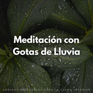 Meditación Con Gotas De Lluvia: Sonidos Binaurales Para La Calma Interior - Relajación Lluvia Meditación