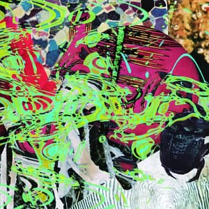 Beetle - Merzbow