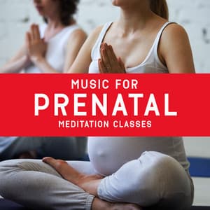 Music for Prenatal Meditation Classes - Nature Music Pregnancy Academy