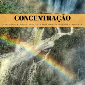 Concentração: A Melhor Seleção De Correntes De Água Para Ler / Estudar / Trabalhar - Música Relax para Bares