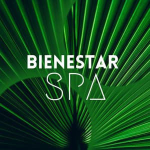 Bienestar Spa: Música Tranquila para Masajes y Bienestar - Milagro de la Vida