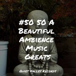 #50 50 A Beautiful Ambience Music Greats - Zarobi