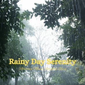 Rainy Day Serenity: Relaxing Music Rainfall Bliss - Rain Sounds & Nature Sounds
