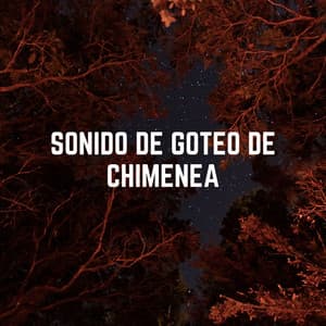 Sonido De Goteo De Chimenea - Frutas de lluvia