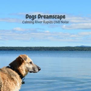 Dogs Dreamscape: Calming River Rapids Chill Noise - Underwater Sound