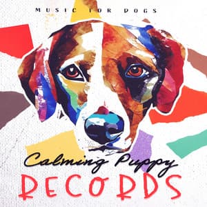 Calming Puppy Records - Music For Dogs