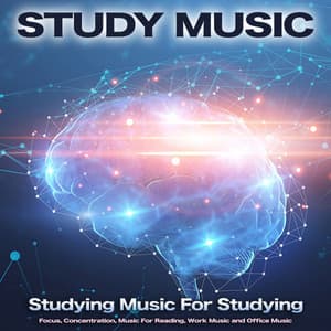 Study Music: Studying Music For Studying, Focus, Concentration, Music For Reading, Work Music and Office Music - Study Music