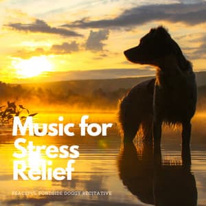 Music for Stress Relief: Peaceful Pondside Doggy Recitative - Fresh Water Sounds