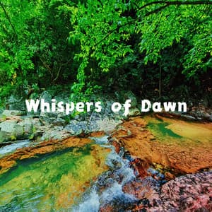 Whispers of Dawn - Relaxing Piano Music