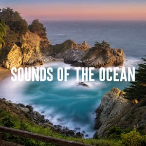 Sounds of the Ocean - Ocean Waves