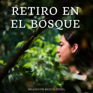 Retiro En El Bosque: Relajación Bajo El Dosel - Bosque Ocupado