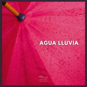 Agua Lluvia - Sonidos De Agua