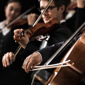 Soothing Symphony: Orchestra for Calm - Charles Anderson
