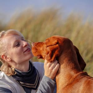 Lofi Dog Retreat: Calm Canine Companionship - Low fi Beats